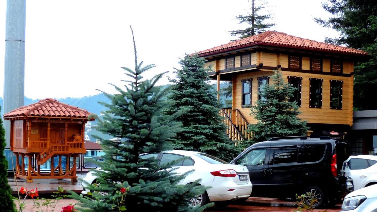 حديقة بوتانيك | ريزا